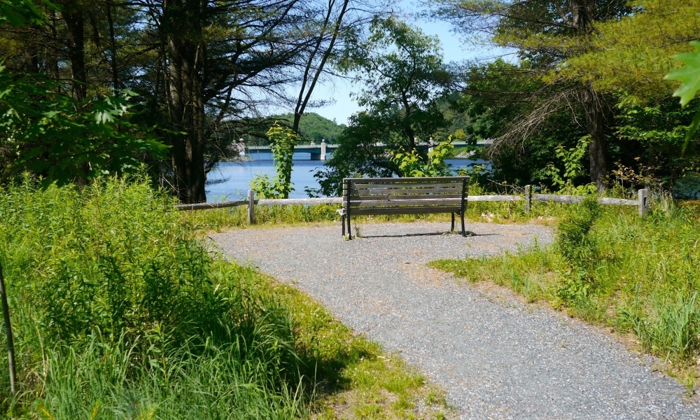 The Meadow Walk offers a peaceful setting for resting by the Connecticut River