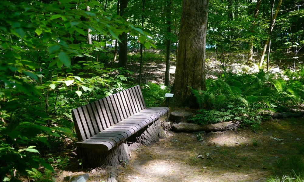 Take a rest on one of the many custom designed benches crafted by local artists