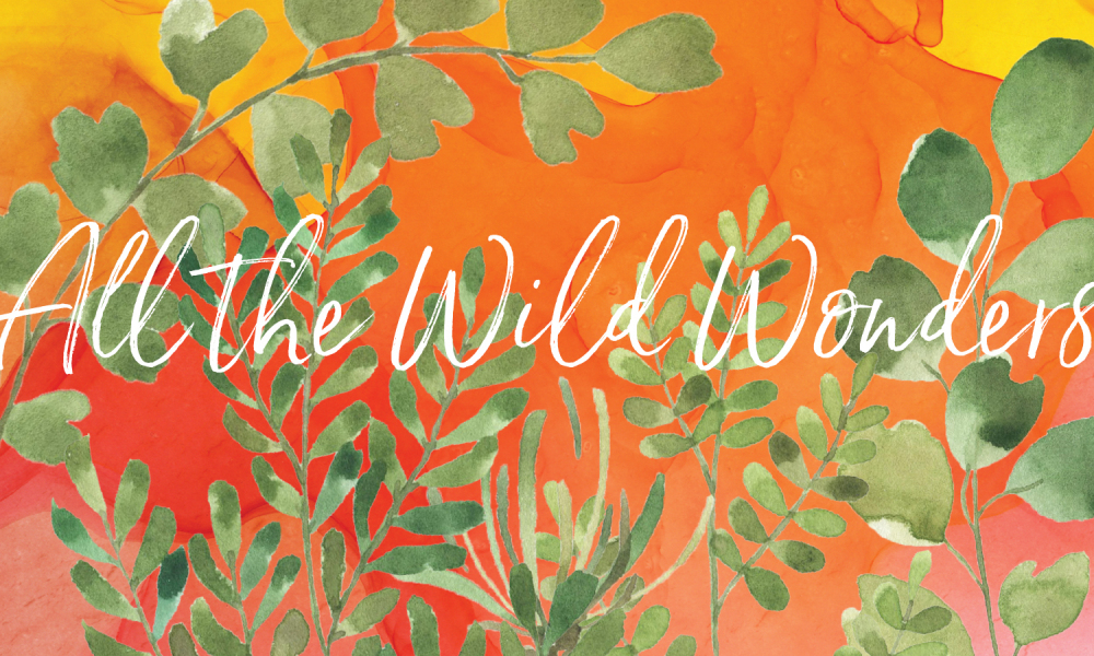 The Fiddlehead Fling is the Montshire’s annual benefit auction. This year’s event theme is All the Wild Wonders.
