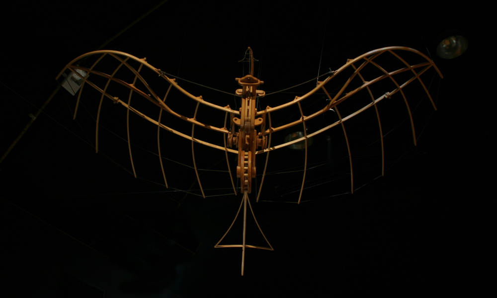 Bicycle Ornithopter from the special exhibition Leonardo da Vinci: Machines in Motion
