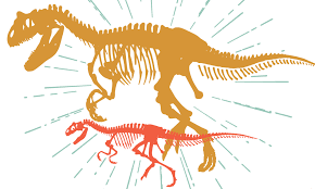 Allosaurus Adult and Juvenile Skeletons