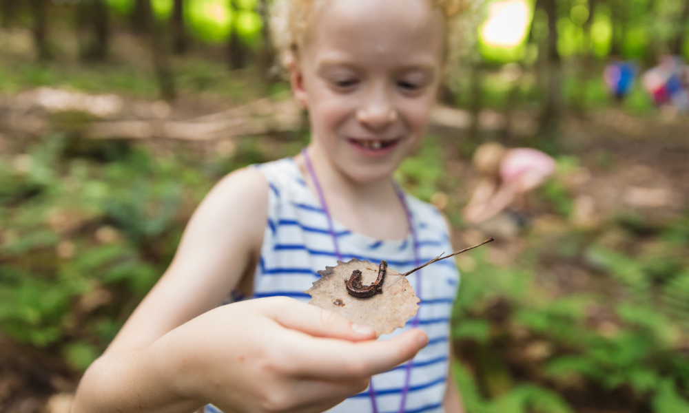 Spend a week exploring the world of bugs and creepy crawlers with Montshire at Home. Check out the videos and downloads of activities that you can easily do at home!