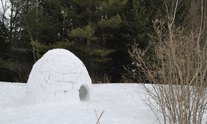 Join Montshire Science Educator Mike Fenzel for a demonstration, as well as instruction on building with snow—from making an initial snow angel to placing the final block on the dome and sawing your way out. 