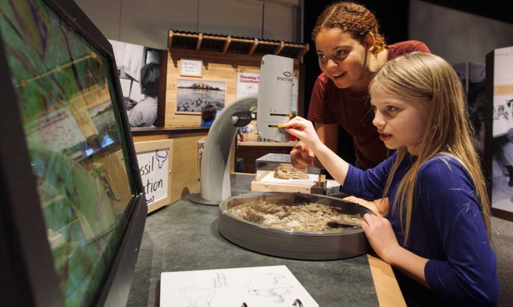 At Under the Arctic, visitors become researchers and climate scientists in the Permafrost Field Lab through hands-on games and experiments.