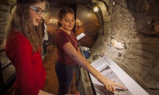 In the immersive environment of Under the Arctic’s replica permafrost research tunnel, guests discover and are amazed by what lies just beneath the surface.