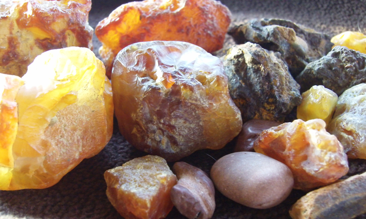 Explore rocks of all kinds in this hands-on program!