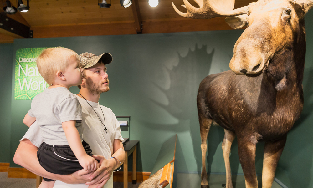 Meet the bull moose downstairs in the “Discovering the Natural World” exhibition as we read Looking for a Moose by Phyllis Root. 