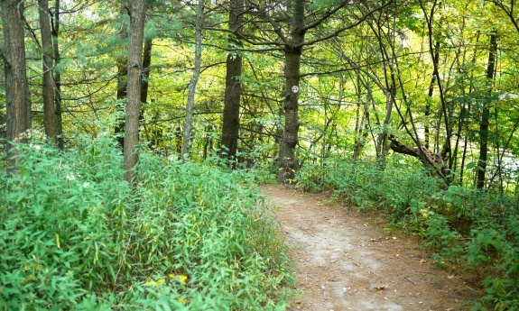 This trail offers variety as you pass along different terrains