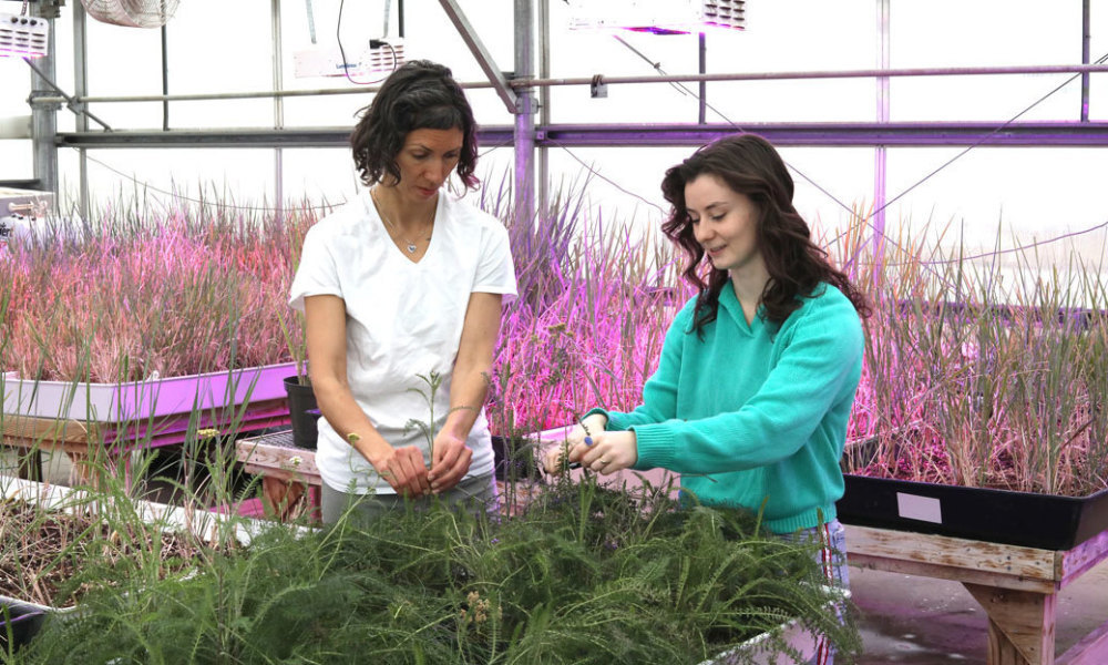 Drop by to meet Simone Whitecloud, PhD, Research Ecologist, and Nicole Wuerslin, Biologist, who will share their work understanding Arctic plants.