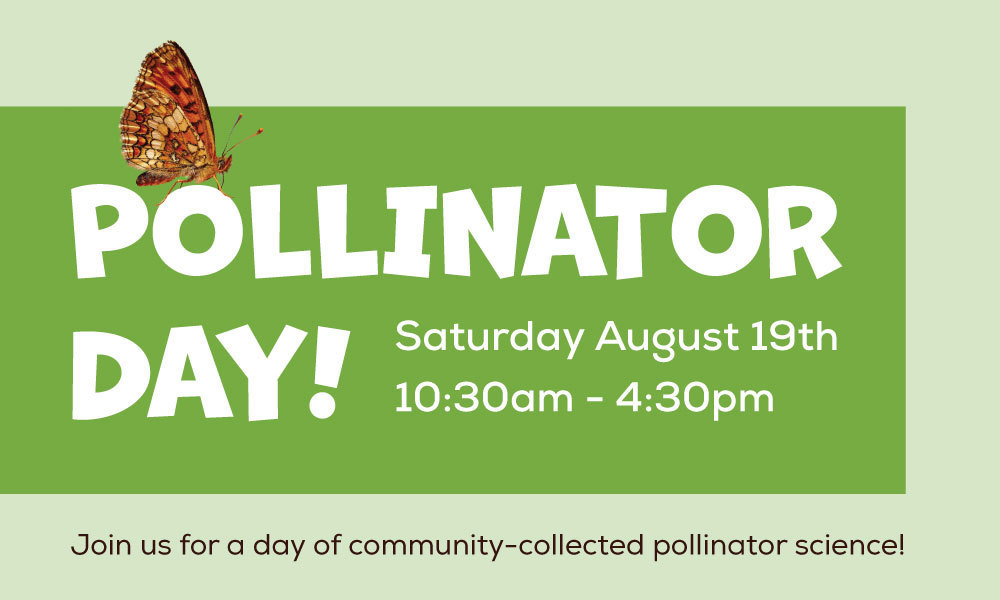 Join us for a day of community-collected pollinator science!