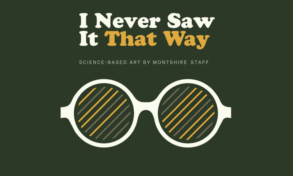 I Never Saw It That Way: Exploring Science Through Art